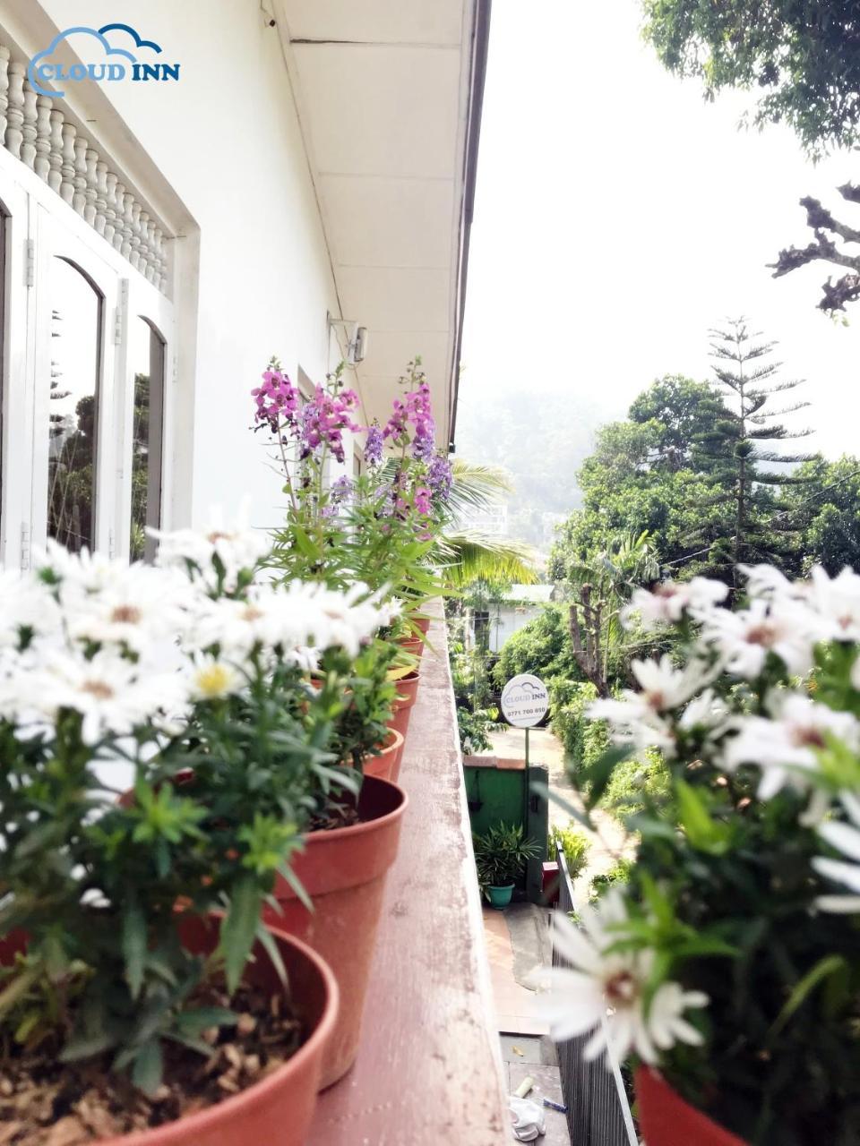 Cloud Inn Kandy Homestay Kültér fotó